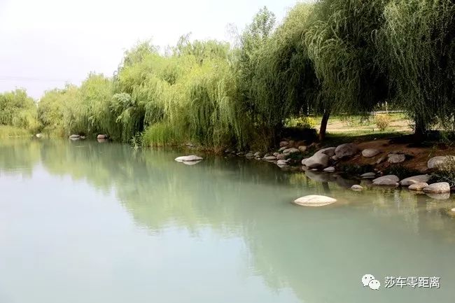 莎车美景 | 雨后的风景 美丽的莎车