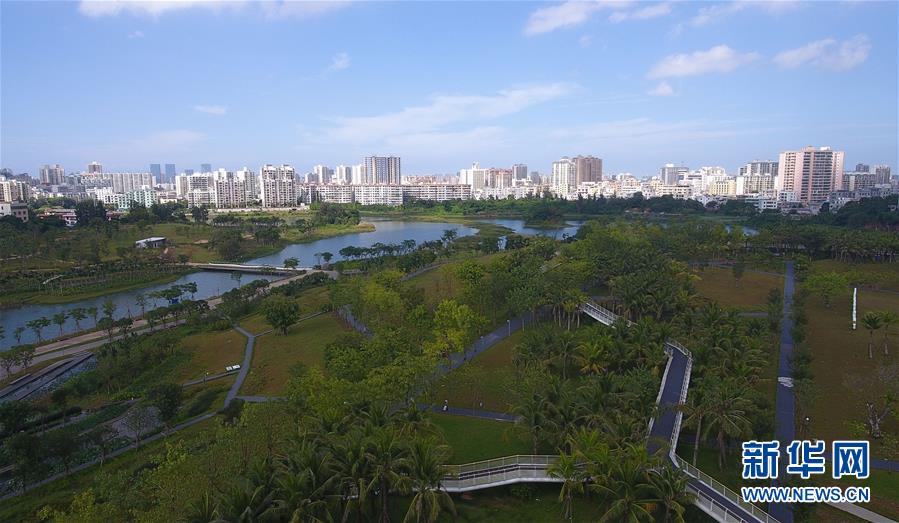 海南海口：湿地如画城中绘-新闻中心-天山网