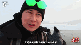 《天天带你看新疆》第十一期：在石河子北湖天鹅栖息地赏冬景