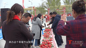 和静草莓文化节吸引3.5万游客，甜蜜草莓撑鼓了农户的钱袋子