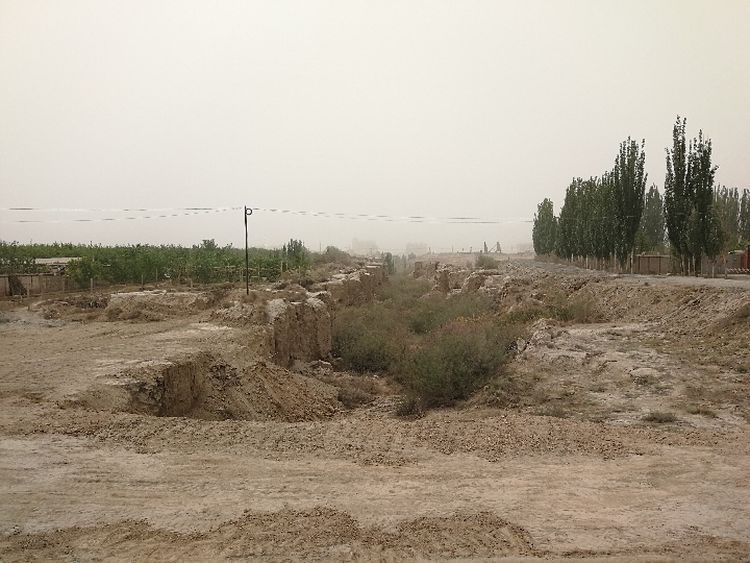 从“添绿”到“生金”——新疆柯柯牙绿化工程30年之变