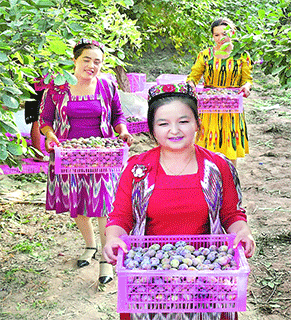 伽师县举办伽师瓜文化旅游节