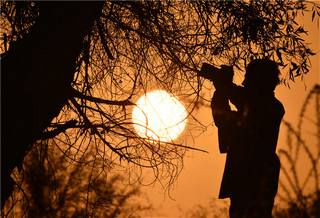 新疆塔里木盆地秋意渐浓