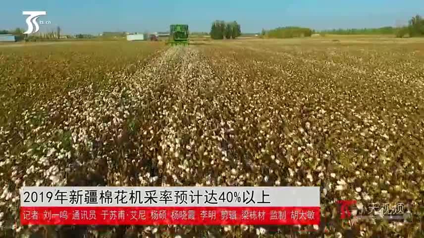 2019年新疆棉花机采率预计达40%以上