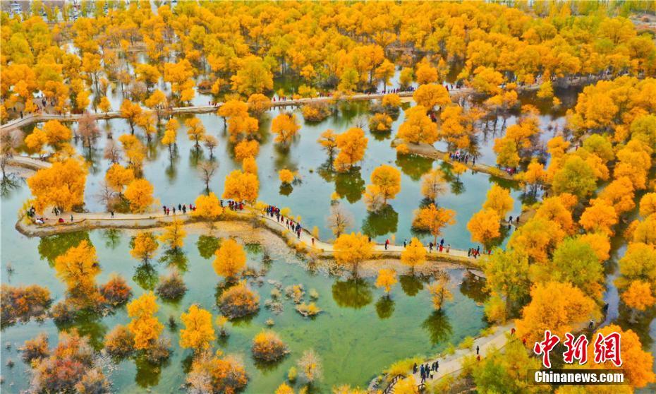 全景俯瞰