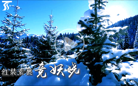 雪沃新疆正式启动 新疆冬游盛宴热“雪”沸腾