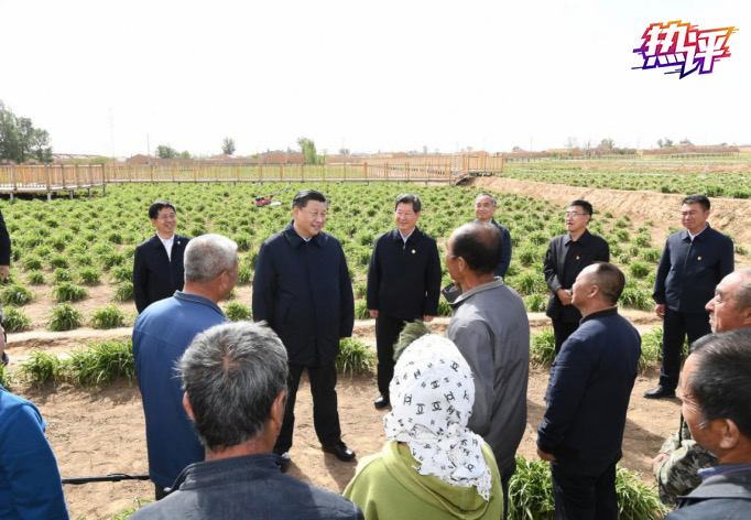 金针热评丨“遍地黄花是金针”，带给我们怎样的思考？