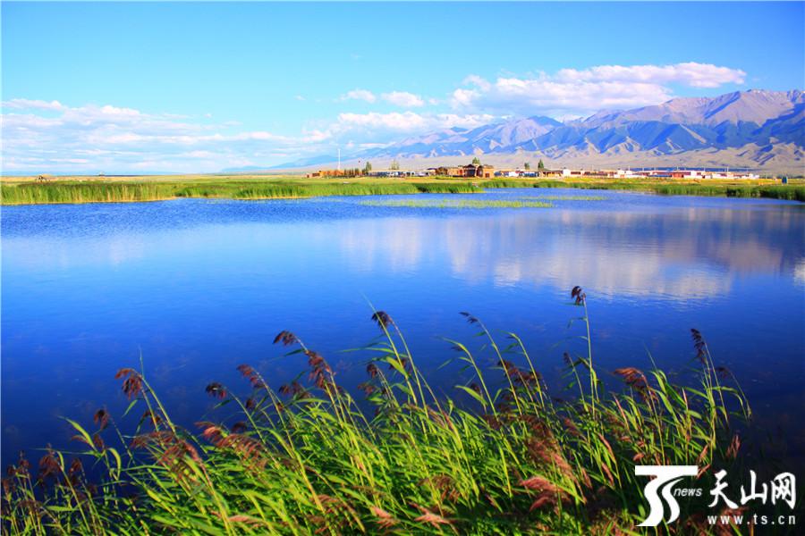 【高清组图】巴里坤县高家湖湿地风光美