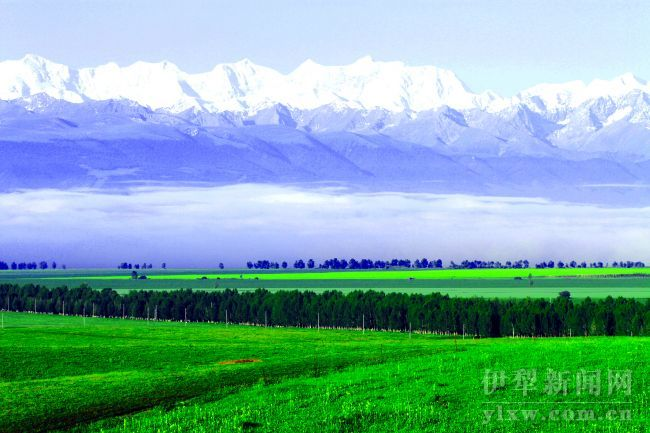 醉人的伊犁美景-天山网 新疆新闻门户