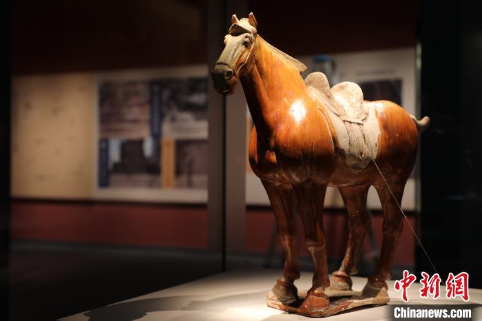 青海省博物馆收藏的唐代三彩陶马。四川博物院供图