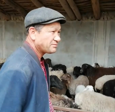 托合尼牙孜·牙生在家里做羊生意