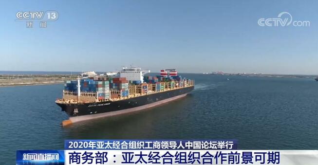 2020年亚太经合组织工商领导人中国论坛