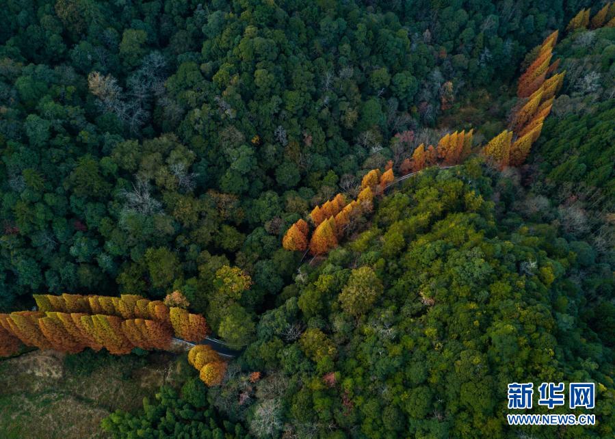 福建将乐:大美龙栖山