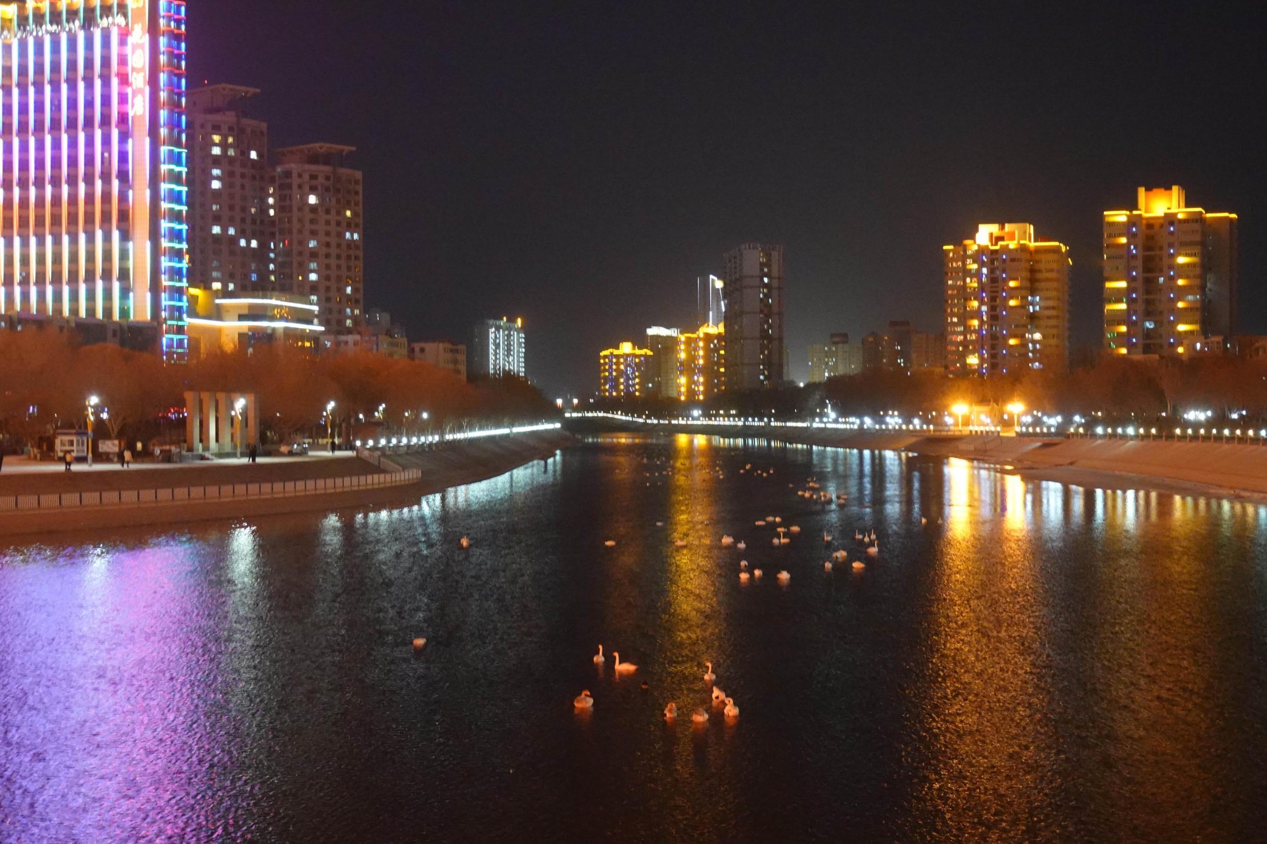 春节期间,新疆巴音郭楞蒙古自治州库尔勒市的夜晚,华灯璀璨,流光