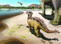新疆发现迄今最小剑龙类恐龙足迹化石