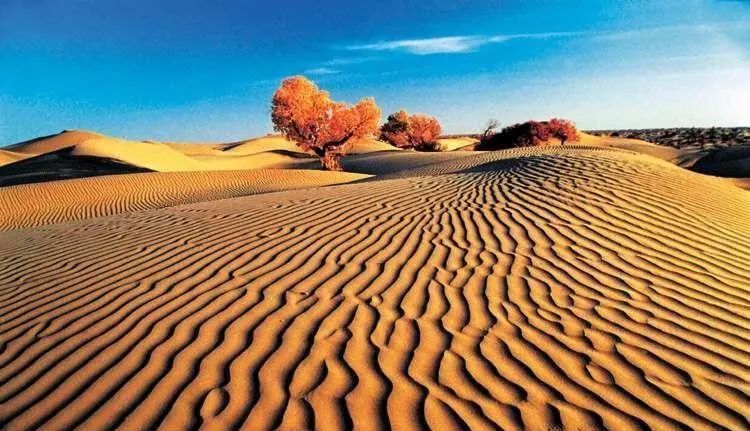 社会新闻  其中心塔克拉玛干沙漠,是中国最大的沙漠,也是世界第十大