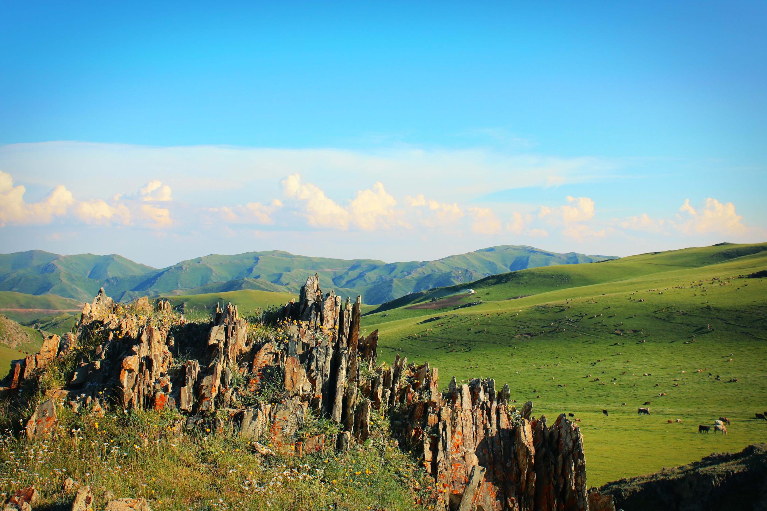 新疆塔城甘家湖自然保护区|摄影|风光摄影|新疆摄影家沈久泉_原创作品-站酷(ZCOOL)