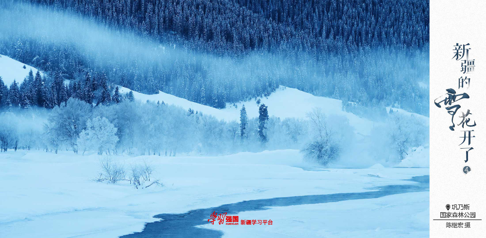 新疆的雪花开了